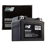 Batterie Serie Pro 12V 5AH (SLA4L-BS) Rollerbatterie (versiegelt/wartungsfrei) 112x68x89mm